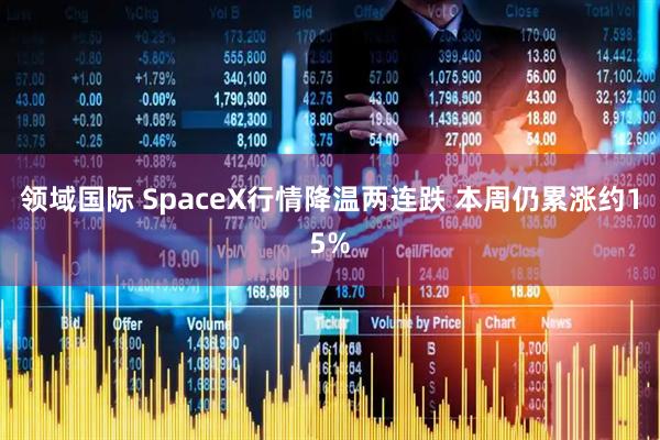 领域国际 SpaceX行情降温两连跌 本周仍累涨约15%