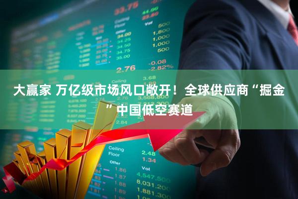 大赢家 万亿级市场风口敞开！全球供应商“掘金”中国低空赛道