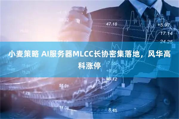 小麦策略 AI服务器MLCC长协密集落地，风华高科涨停